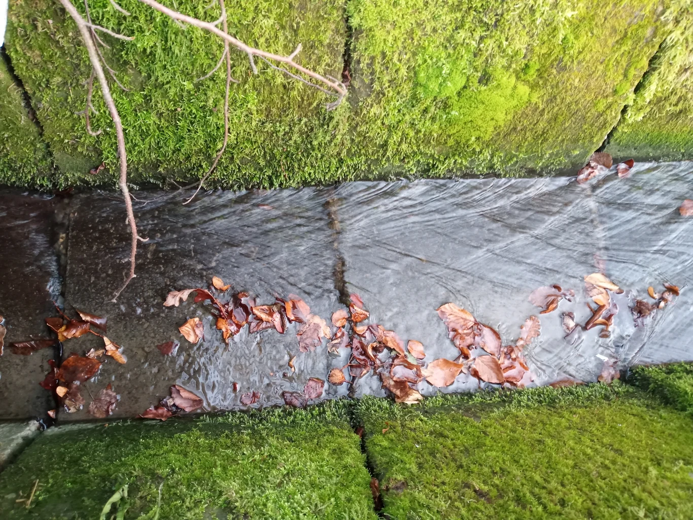 myPhone Now eSIM - zdjęcia wykonane telefonem