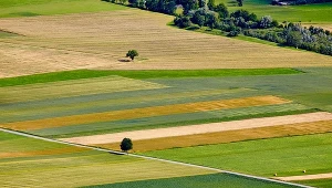 W 2021 roku będzie można kupić aż 5 hektarów ziemi rolnej?
