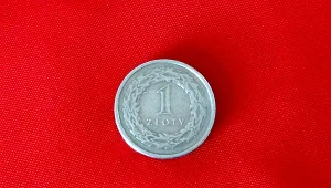 Złoty będzie się umacniać?