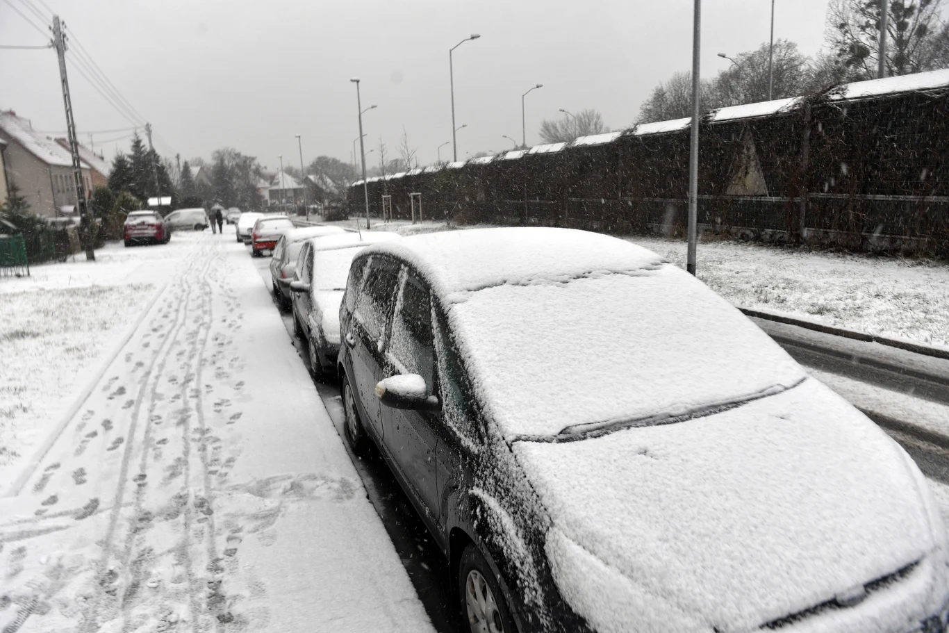 Na Podhalu przyrost pokrywy śnieżnej od 5 cm do 10 cm. Temperatura maksymalna od 1 st. C na Kaszubach do 6 st.C na południowym wschodzie; w kotlinach górskich około 0 st. C. Wiatr słaby i umiarkowany, okresami porywisty, z kierunków północnych, jedynie na południowym wschodzie skręcający na wschodni i południowo-wschodni. Nad morzem porywy wiatru do 55 km/h. W szczytowych partiach gór wiatr w porywach do 60 km/h, będzie powodował zawieje i zamiecie śnieżne.