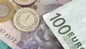 Europejskie banki centralne przypominają, że gotówka to wciąż kluczowy element bezpieczeństwa finansowego