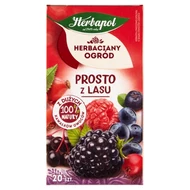 Herbapol Herbaciany Ogród Herbatka owocowo-ziołowa prosto z lasu 50 g (20 x 2,5 g)