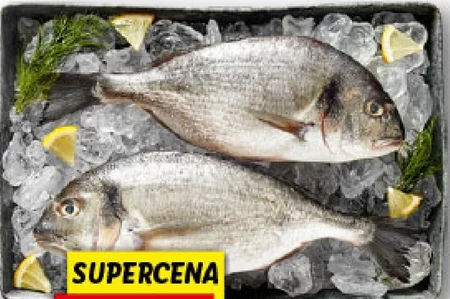 Dorada Targ rybny Lidla