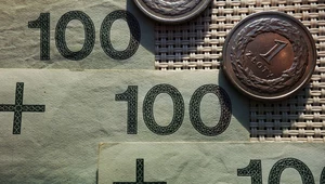 Ile kosztują dolar, euro i frank? Złoty stabilny na koniec tygodnia. Zdj. ilustracyjne