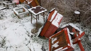 Pasieka została zdemolowana przez wandali 