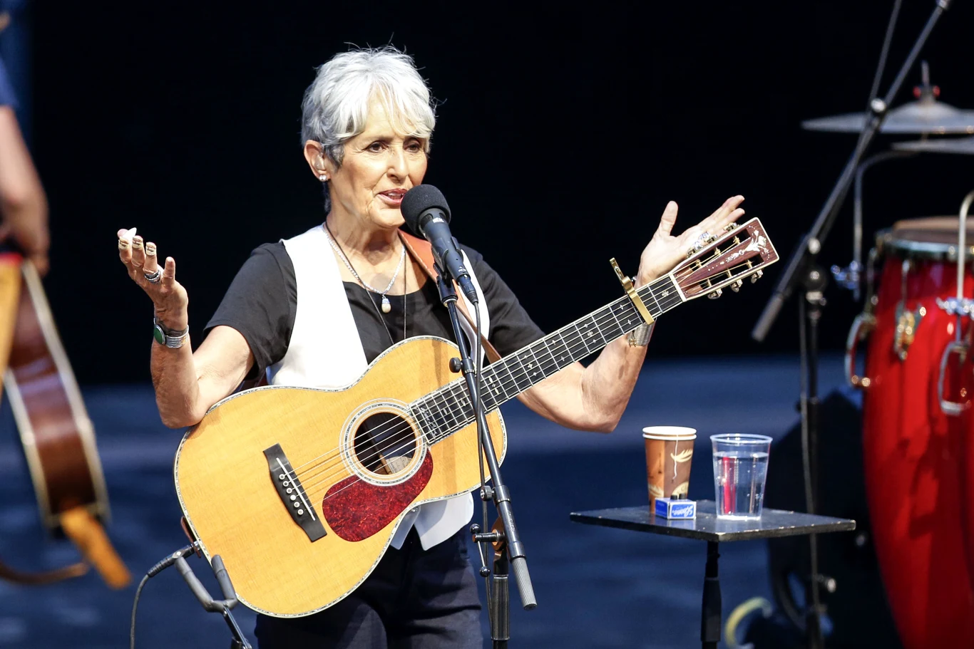 Już na początku swojej kariery, Joan Baez zaangażowała się w ruch działający na rzecz praw obywatelskich. Protestowała również przeciwko udziałowi Stanów Zjednoczonych w wojnie w Wietnamie. Znaczącym był udział Joan w Marszu na Waszyngton na rzecz zniesienia segregacji rasowej i podniesienia płacy minimalnej. Wokalistka wystąpiła wówczas przed słynnym przemówieniem Martina Luthera Kinga. Już na początku swojej kariery, Joan Baez zaangażowała się w ruch działający na rzecz praw obywatelskich. Protestowała również przeciwko udziałowi Stanów Zjednoczonych w wojnie w Wietnamie. Znaczącym był udział Joan w Marszu na Waszyngton na rzecz zniesienia segregacji rasowej i podniesienia płacy minimalnej. Wokalistka wystąpiła wówczas przed słynnym przemówieniem Martina Luthera Kinga.