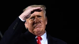 Jarosław Kuisz: Donald Trump bez zębów