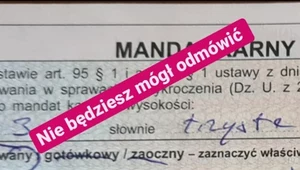 PiS chce zakazać możliwości odmowy przyjęcia mandatu