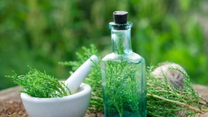 Skrzyp polny pomaga na wiele problemów