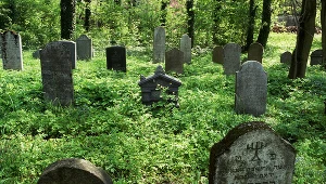 Kirkut w Oświęcimiu