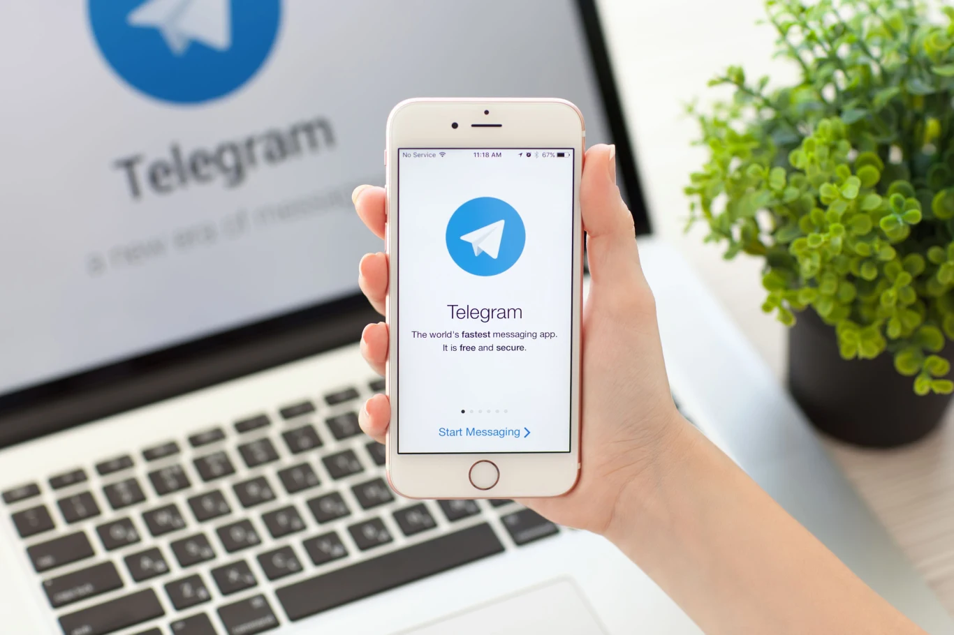 Aplikacja Telegram 