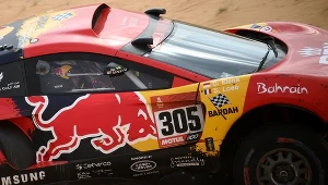 Sebastien Loeb