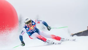 Narciarstwo alpejskie