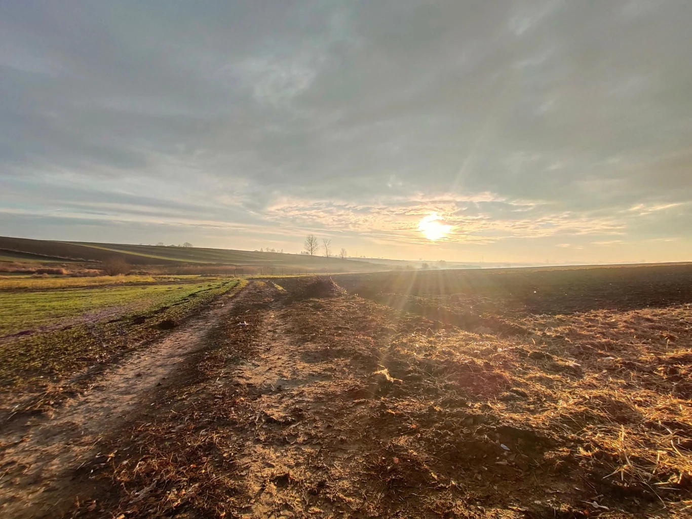 Zdjęcie wykonane Vivo X51 5G