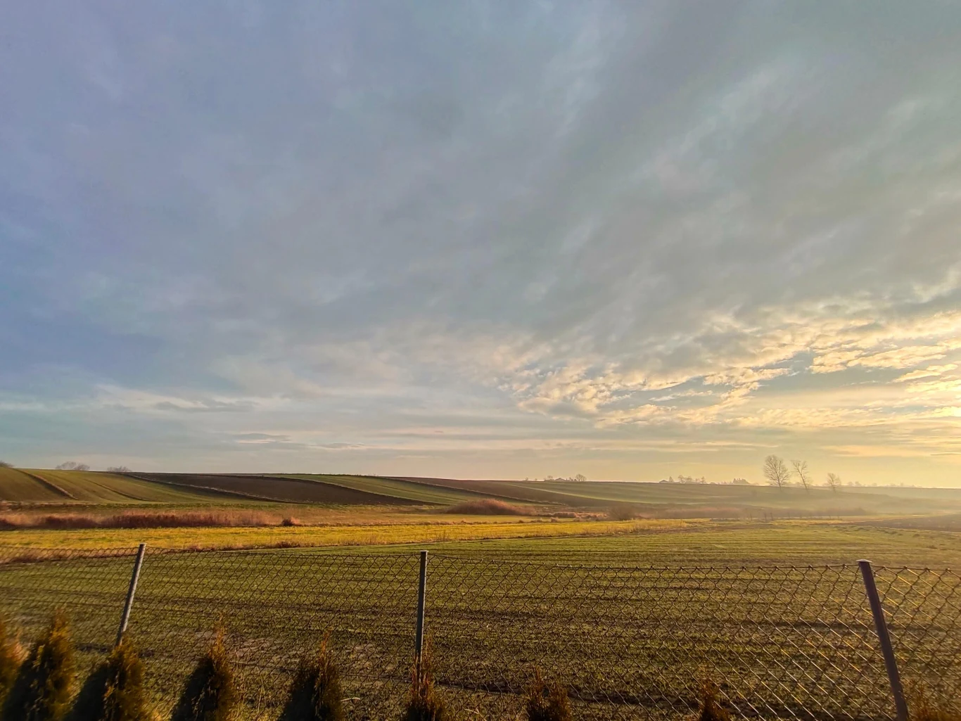 Zdjęcie wykonane Vivo X51 5G