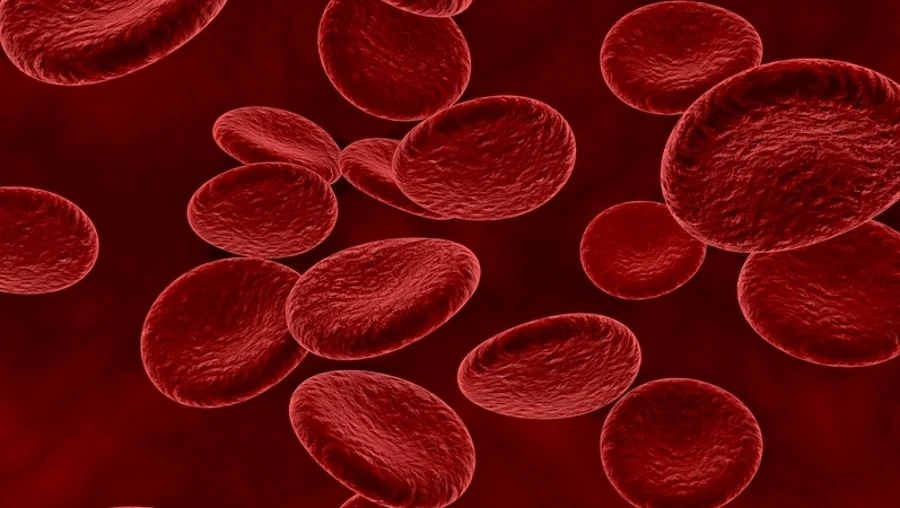 Buraki są źródłem żelaza, które jest składnikiem hemoglobiny