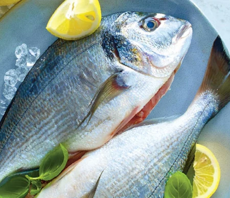 Dorada Marinero
