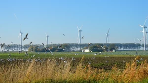 ​Niemcy chcą zwiększyć produkcję prądu z odnawialnych źródeł energii
