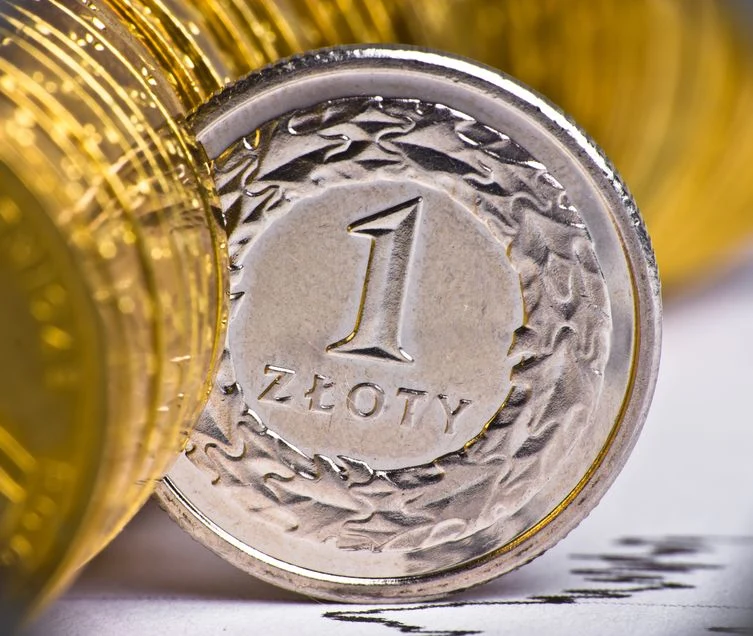 Jaki jest kurs złotego w środę 13.11.2024 r.? Zdj. ilustracyjne Jaki jest kurs złotego w środę 13.11.2024 r.? Zdj. ilustracyjne