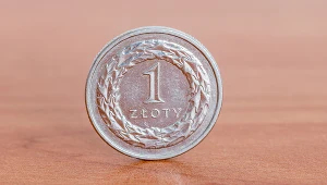 W minionym roku złoty stracił na wartości w relacji do większości głównych walut świata