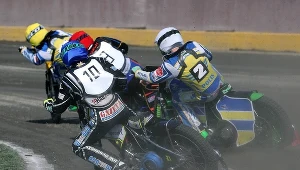 Ivacic, Polis, Bach, Woelbert