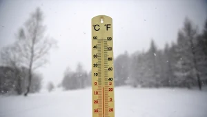 W Polsce panują siarczyste mrozy