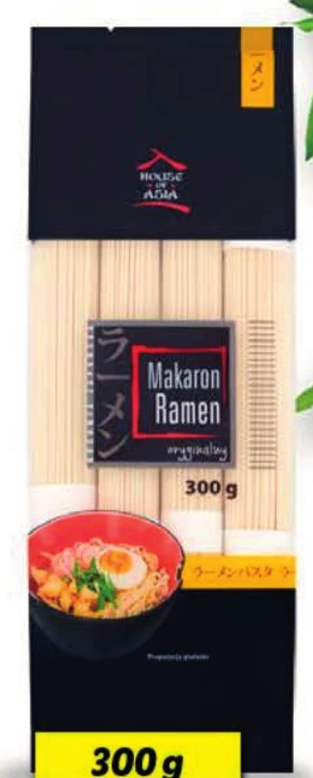 Makaron ramen House of Asia
