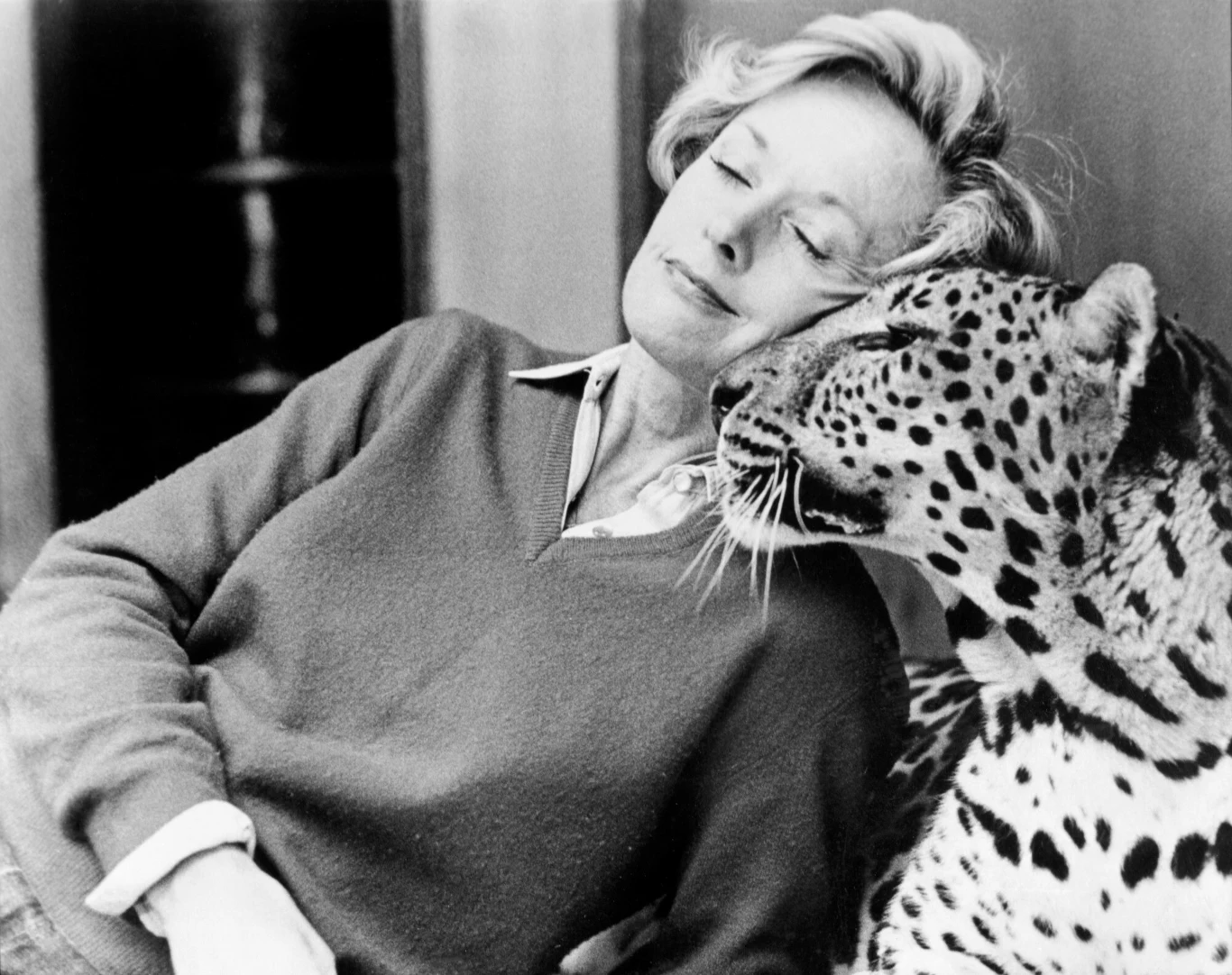 Na kinowym ekranie Hedren mogliśmy zobaczyć później m.in. w "Hrabinie z Hongkongu" (1967) Charliego Chaplina, "Roar" (1981) w reżyserii jej ówczesnego męża, Noela Marshalla oraz thrillerze Johna Schlesingera "Pacific Heights" (1990).