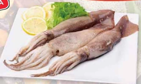 Kalmary