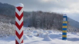 Policja przekazała Marokańczyków Straży Granicznej w Bieszczadach