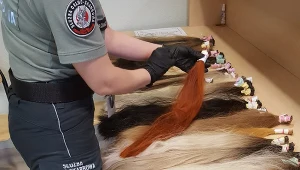 Medyka: Przemycał ludzkie włosy fot. Izba Administracji Skarbowej w Rzeszowie