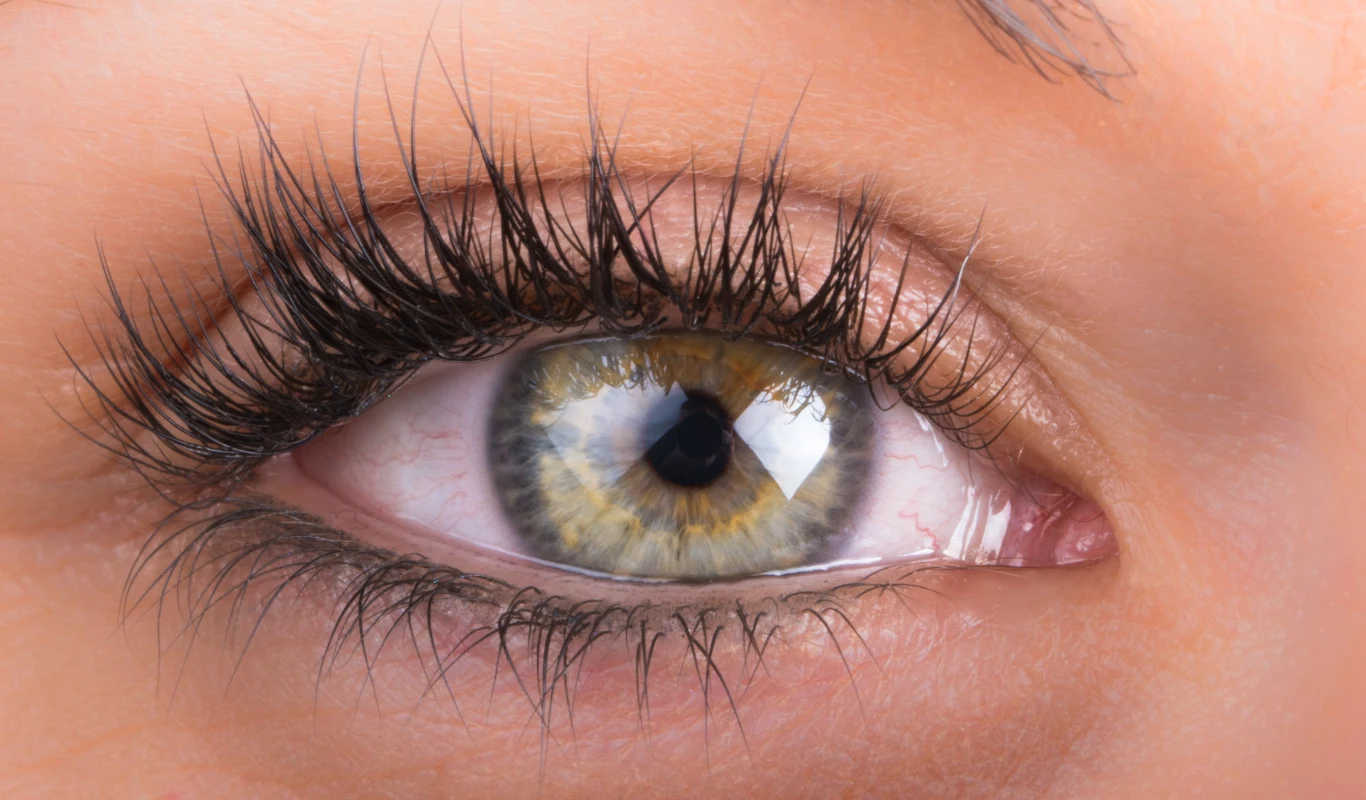 Zielona herbata świetnie wpływa na rzęsy Zielona herbata świetnie wpływa na rzęsy