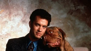 Toma Hanksa zastąpi w serialu Josh Peck