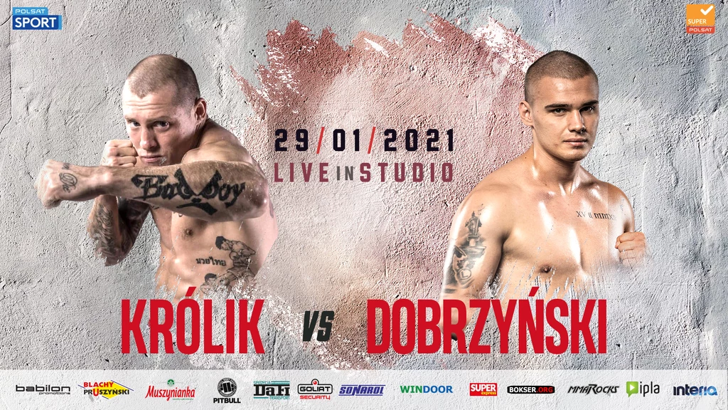 Królik vs Dobrzyński