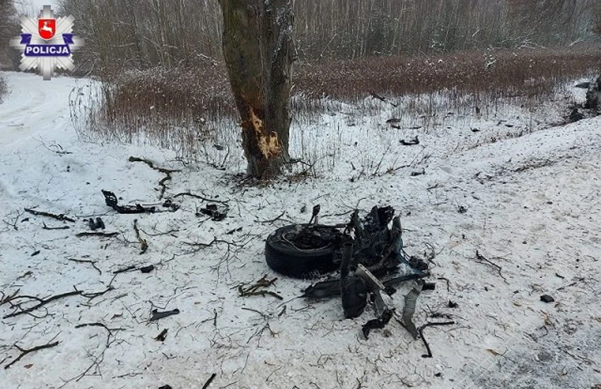 ... a drzewo stoi niewzruszone.