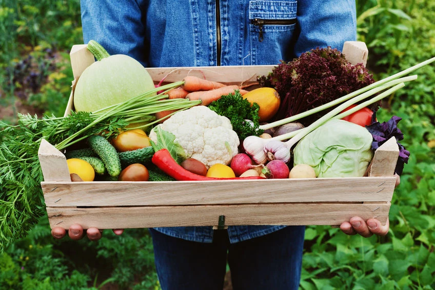 Produkty organiczne są wolne do pestycydów 