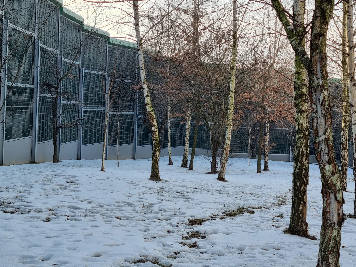 Zdjęcie wykonane Samsungiem Galaxy S21 5G Zdjęcie wykonane Samsungiem Galaxy S21 5G