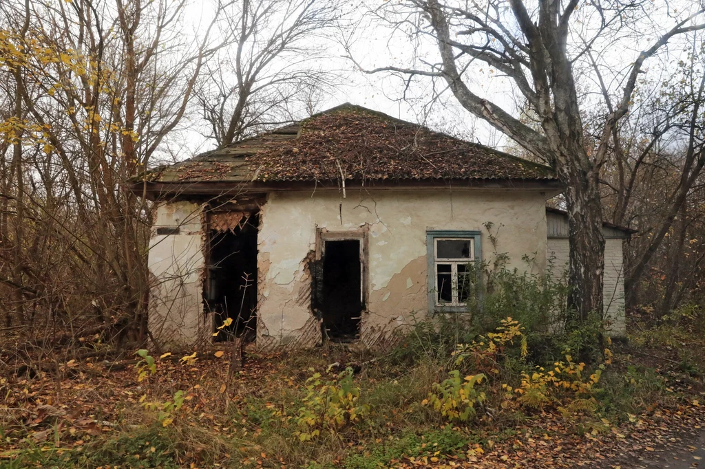 Strefa Czarnobylska Strefa Czarnobylska