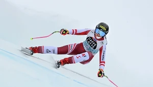 Stephanie Venier