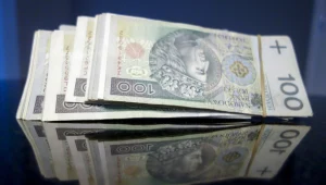 ​W ciągu dekady wartość banknotów w Polsce potroiła się