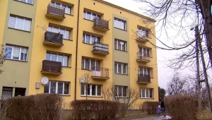 Jaworzno: Odstrzał dzików. Sprzeciw mieszkańców