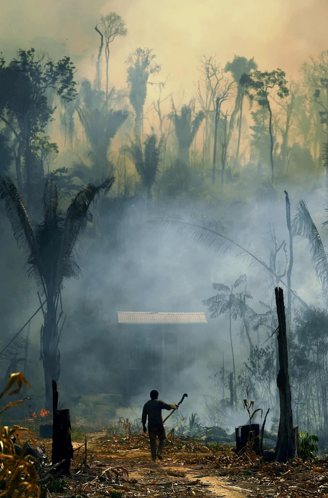 Wylesianie amazońskiego lasu deszczowego od początku rządów Bolsonaro wzrosło o blisko 50 proc.