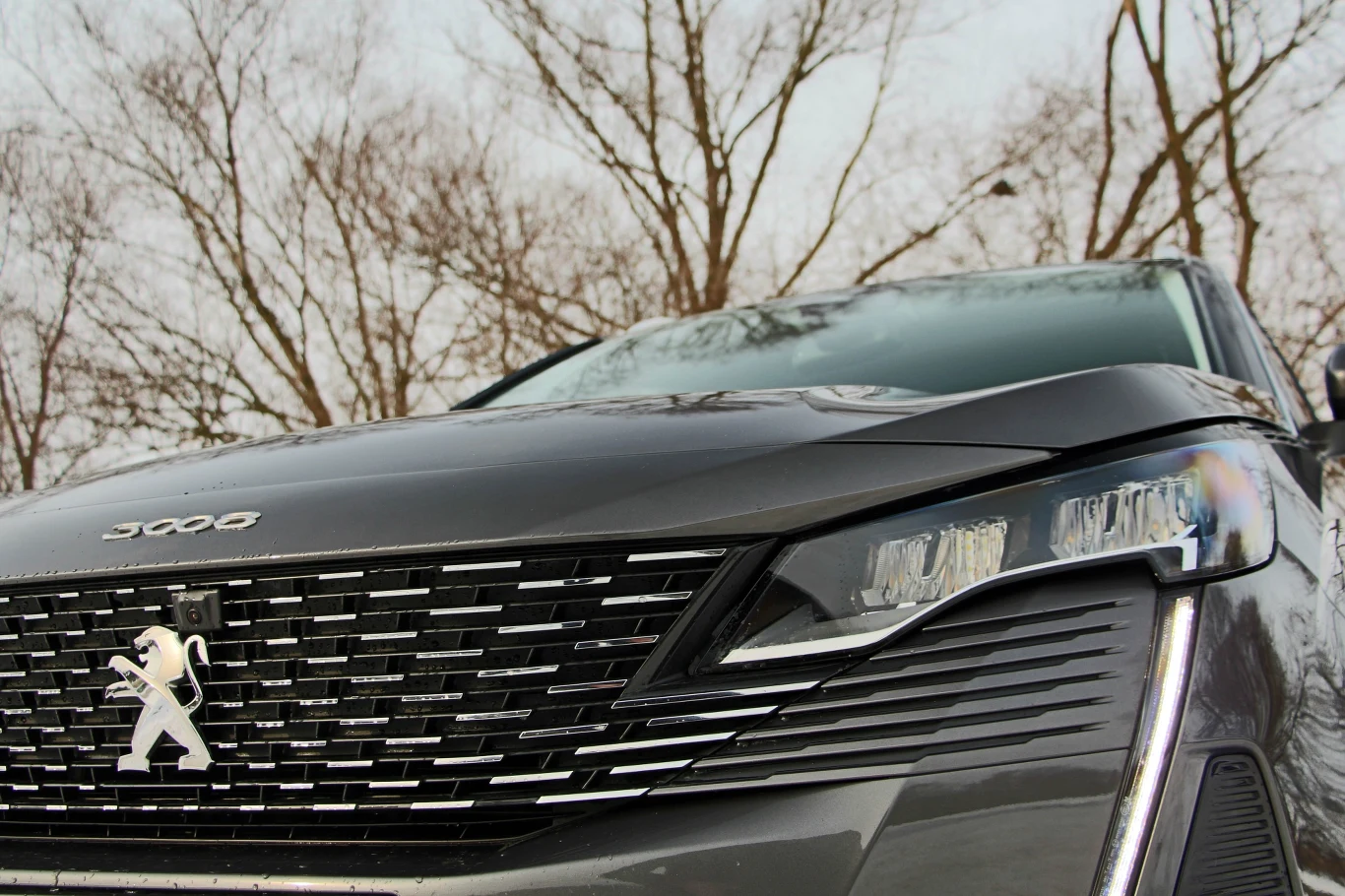 Peugeot 3008 1.5 BlueHDi