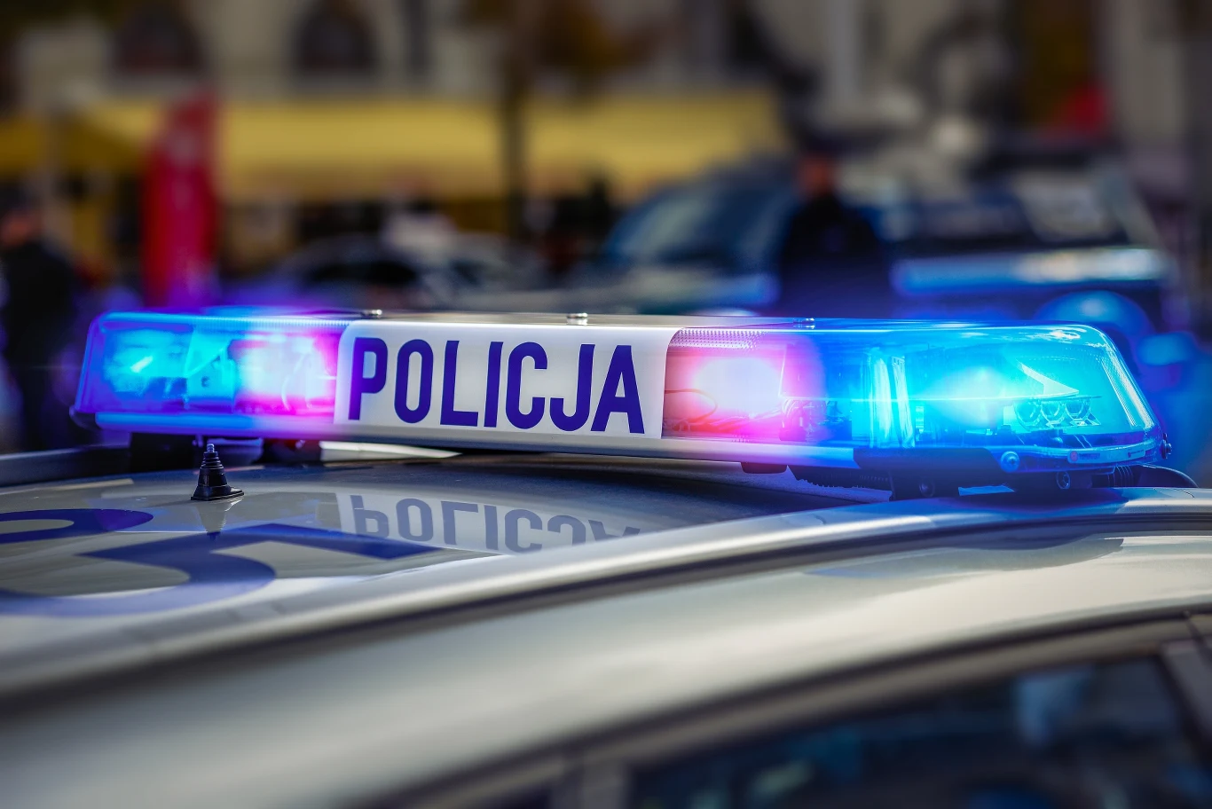 Policja ustaliła dane właściciela psa