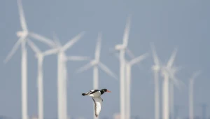 Orlen spotyka się z potencjalnymi dostawami dla offshore 