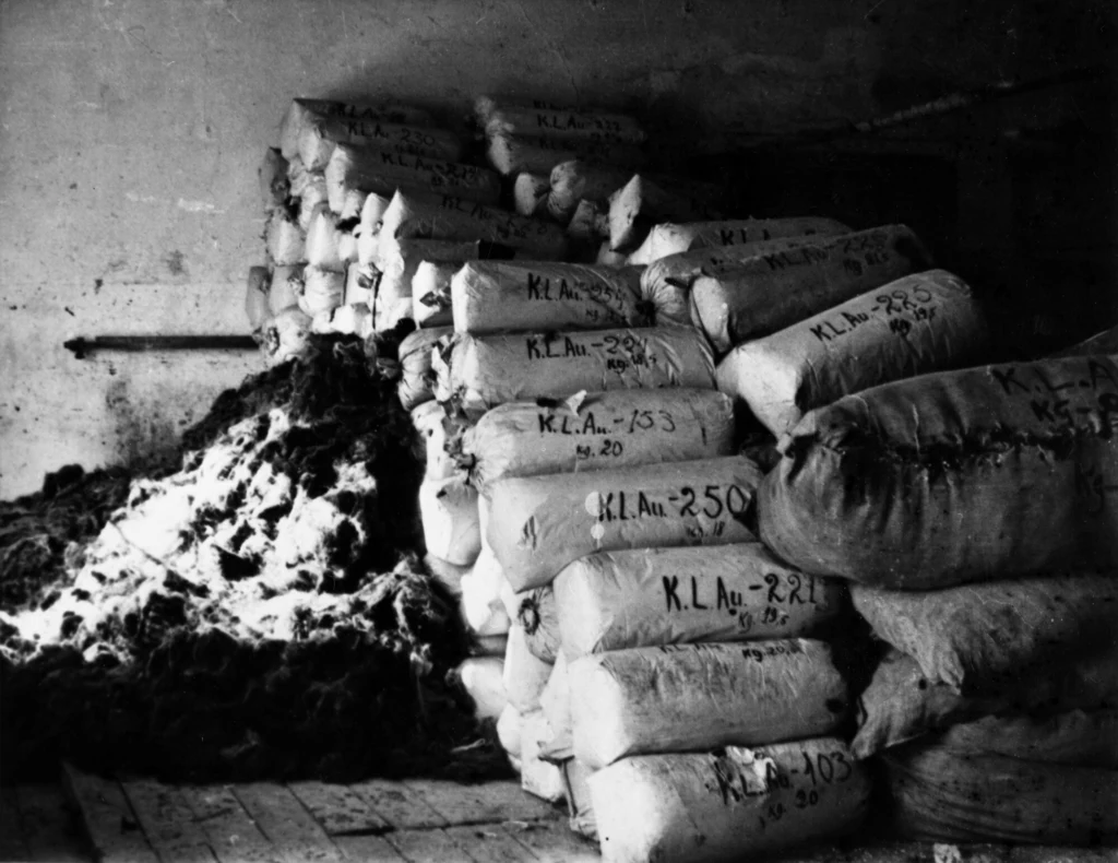 Włosy zamordowanych w Auschwitz więźniów Włosy zamordowanych w Auschwitz więźniów