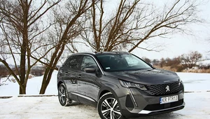 Peugeot 3008 1.5 BlueHDi