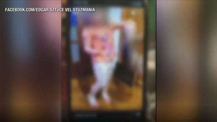 22-letnia opiekunka nagrała, jak dziecko męczy kota. Film udostępniła w internecie 22-letnia opiekunka nagrała, jak dziecko męczy kota. Film udostępniła w internecie