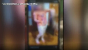 22-letnia opiekunka nagrała, jak dziecko męczy kota. Film udostępniła w internecie