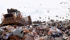 Wyrzucił na śmietnik tysiące bitcoinów. Oskarża władze miasta, że ”bezprawnie przetrzymują jego własność”